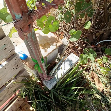 Villaloddo2 Sud Apartamento